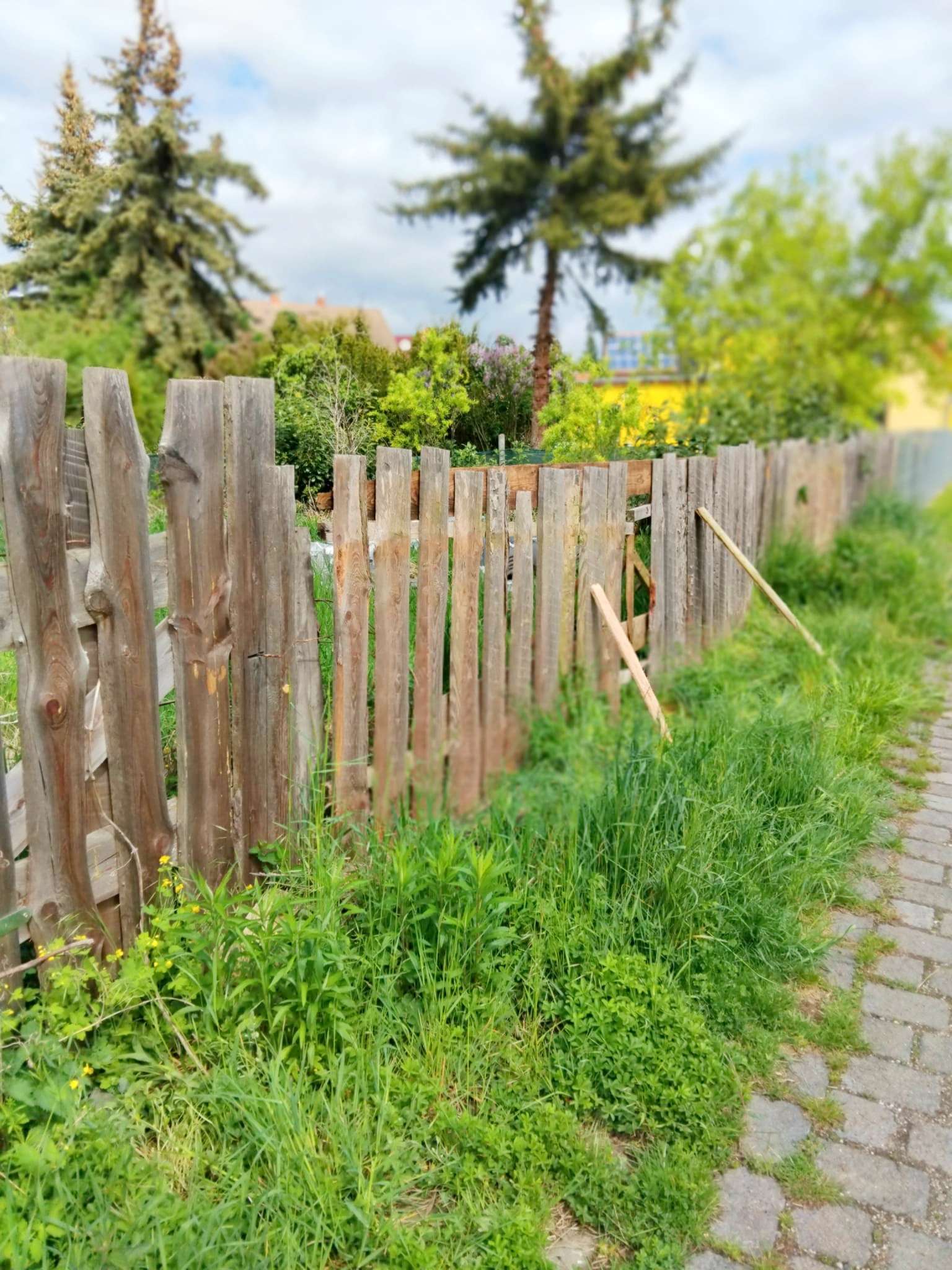 Einfamilienhaus freistehend, Mansfeld Südharz Kreis – Bild 2