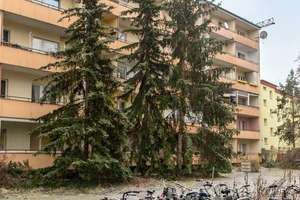 HOMESK - Vermietete 2-Zimmer-Wohnung mit Balkon in Gesundbrunnen – Koloniestraße 148, 13357 Gesundbrunnen, Berlin – Vorschaubild 21
