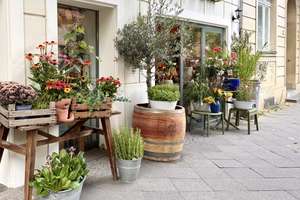 Property thumbnail 8