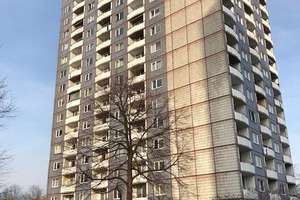 Klein aber fein: individuelles 1-Zimmer-Single-Appartment
