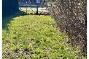 Hübsches Eigenheim mit geräumiger Einliegerwohnung in ruhiger Lage zu verkaufen – Wismarsche Straße 31, 23996 Bad Kleinen – Vorschaubild 50