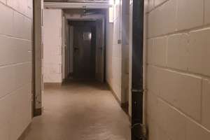 Luxuriöse 1 Zi.Wo, ganz renoviert, mit großer Terrasse, komplett ausgestattet für 1 oder 2 Personen – Hardstraße 54, 69124 Kirchheim, Heidelberg – Vorschaubild 26