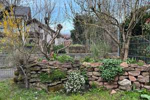 Modernisiertes Reihenmittelhaus mit Garten, Garage & PV-Anlage – Die vollständige Adresse der Immobilie erhältst du vom Anbieter., 76751 Jockgrim – Vorschaubild 12