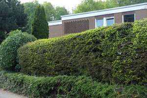 Haus mit wunderschönem Garten direkt am Naturpark Siebengebirge in begehrter Höhenlage  – Die vollständige Adresse der Immobilie erhältst du vom Anbieter., 53639 Königswinter – Vorschaubild 13