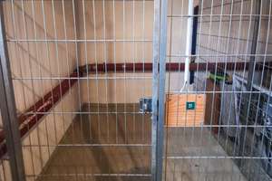 Bezugsfrei! | großzügige 2RW | Südbalkon | Tiefgarage | Toplage – Die vollständige Adresse der Immobilie erhältst du vom Anbieter., 4158 Wiederitzsch, Leipzig – Vorschaubild 22