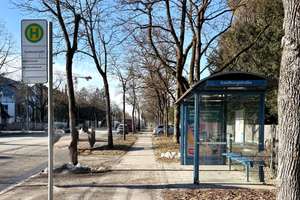 Ihre Villa der Extraklasse – modernes Design, grüne Oase und pure Lebensfreude in Hadern – Canisiusstraße 20, 81377 Großhadern, München – Vorschaubild 21