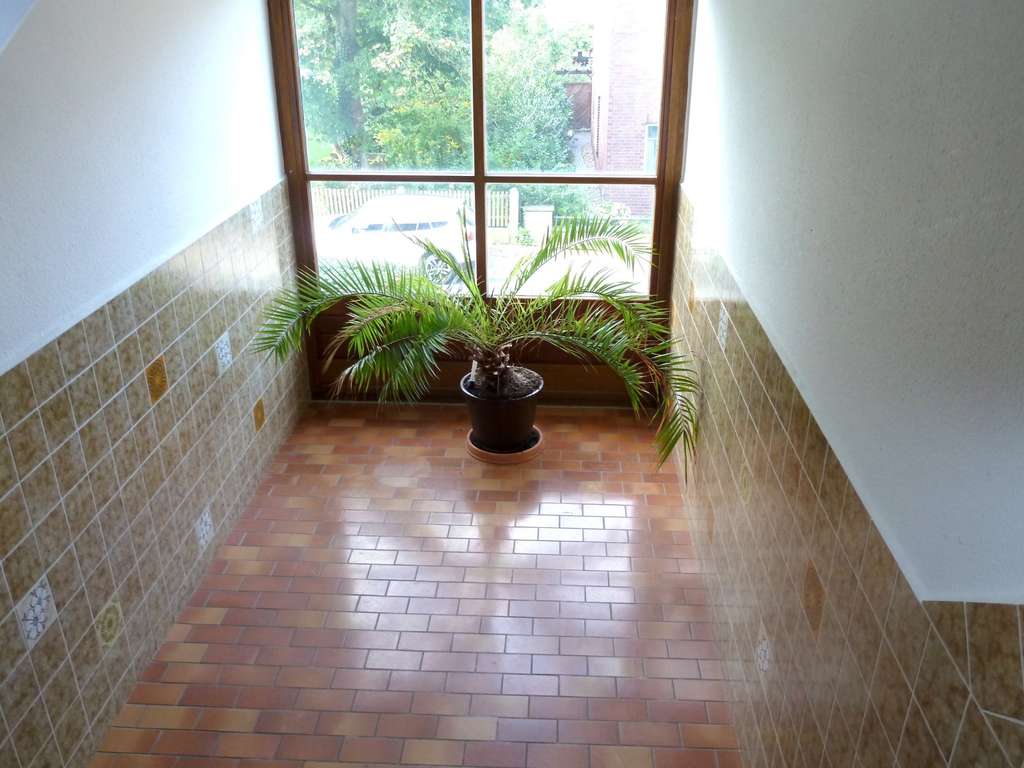 Immobilie in Hagenburg - großzügige 4 Zi EG Wohnung mit Terrasse  - Bild 1