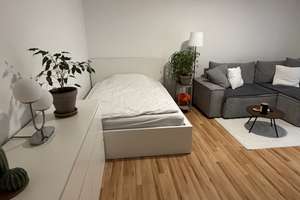 1-Zimmer-Micro-Apartment mit Balkon und EBK in Reutlingen – Die vollständige Adresse der Immobilie erhältst du vom Anbieter., 72766 Sondelfingen, Reutlingen – Vorschaubild 2