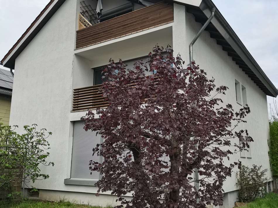 IMG_20250421_120917_compress62