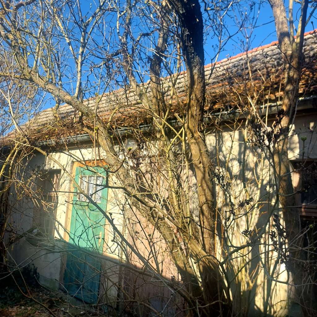 Immobilie in Letschin - Solides Einfamilienhaus mit Entwicklungspotenzial in Letschin - Bild 2