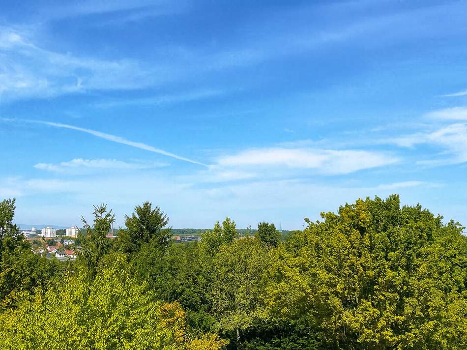 Ausblick vom Obergeschoss