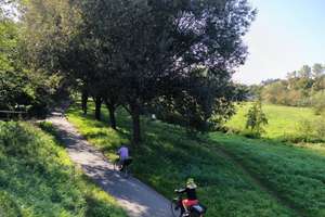 Property thumbnail 19