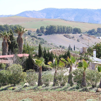 Charmantes Anwesen in Pizarra