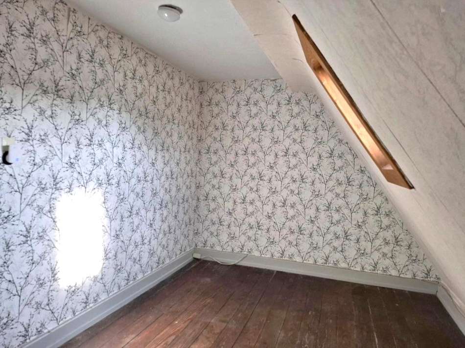 DG