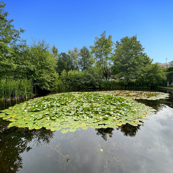 Privater Büroraum für 2 Person in HQ Ruhrallee