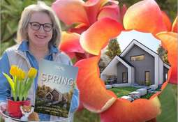 Aktionshaus Springside 4