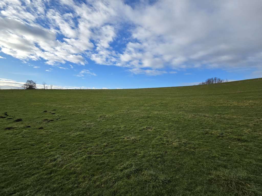 Immobilie in Gummersbach - Investieren mit Zukunft – Mehrfamilienhaus in guter Lage! - Bild 2