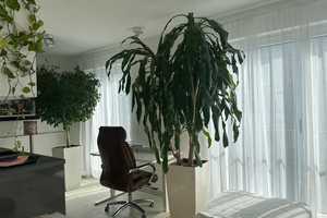 Property thumbnail 12