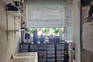 Bremerhaven Geestemünde 1 Zimmerwohnung mit Balkon – Gutenbergstraße 5, 27570 Geestemünde, Bremerhaven – Vorschaubild 11