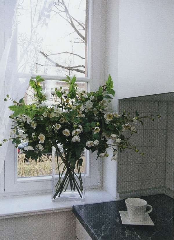 Hepkestraße 159, 01277 Dresden - Photo 4