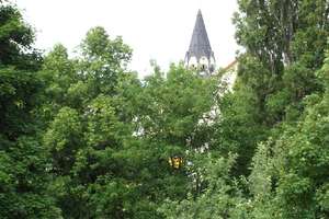 Ihr neues Familienzuhause im Herzen des Lutherviertels – Clausstraße 102, 9126 Lutherviertel, Chemnitz – Vorschaubild 5