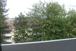 Schönes, ruhiges 1-Zimmer-Apartment in Hochzoll Süd im Grünen  – Alatseestr 8, 86163 Hochzoll-Süd, Augsburg – Vorschaubild 10
