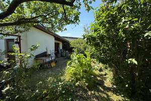 Grünes Familienidyll in Berlin-Marzahn – Ihr neues Zuhause mit Herz & Potenzial – Althansweg 3, 12685 Marzahn, Berlin – Vorschaubild 3