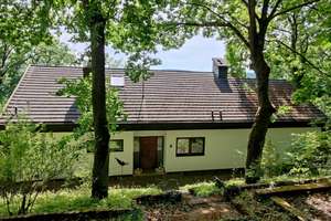 Anwesen am Waldrand mit Einliegerwohnung, Sauna, Fitnessraum, Weitblick und sehr guter Bausubstanz – Die vollständige Adresse der Immobilie erhältst du vom Anbieter., 63911 Klingenberg am Main – Vorschaubild 2