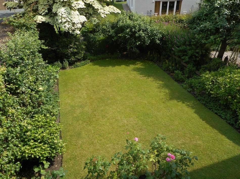 Gartenansicht vom Balkon