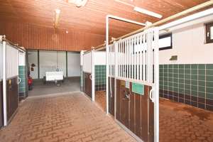 Perfekt für Pferdeliebhaber! Einfamilienhaus mit Pferdestall und 4.000m² großer Weidefläche. – Die vollständige Adresse der Immobilie erhältst du vom Anbieter., 38154 Königslutter am Elm – Vorschaubild 18