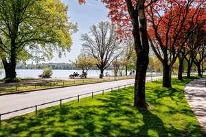 Die Alster fest im Blick! – Die vollständige Adresse der Immobilie erhältst du vom Anbieter., 20148 Rotherbaum, Hamburg – Vorschaubild 10