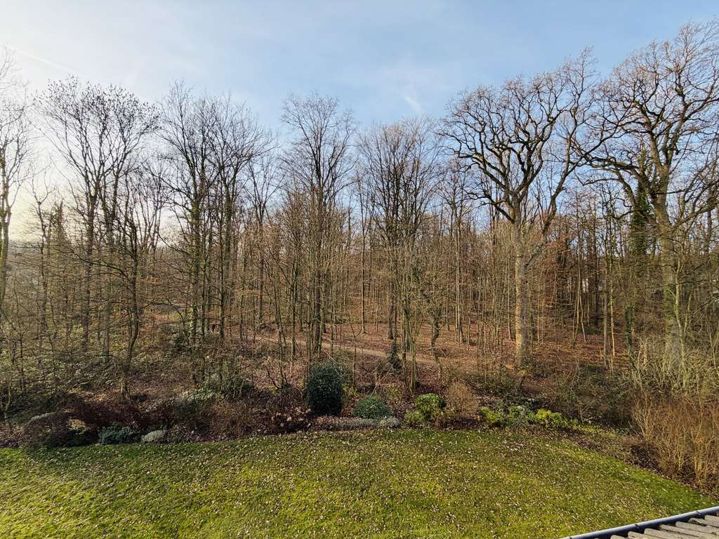 Immobilie in Bad Rothenfelde - Wohnen mit Aussicht – Ihre neue 2-Zimmer- Wohnung in Bad Rothenfelde - Bild 2