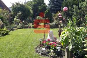 Vielseitiges Anwesen mit zwei Häusern, Scheune und großem Garten – Ideal für Mehrgenerationenwohnen  – Neustadt an der Weinstraße – Vorschaubild 1