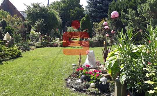 Vielseitiges Anwesen mit zwei Häusern, Scheune und großem Garten – Ideal für Mehrgenerationenwohnen 