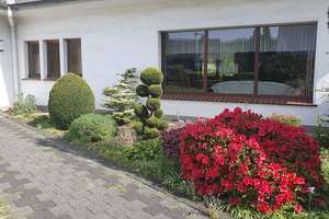 Schönes Einfamilienhaus in begehrter Lage von Solingen mit Ausbaureserve – Die vollständige Adresse der Immobilie erhältst du vom Anbieter., 42699 Ohligs/Aufderhöhe/Merscheid, Solingen – Vorschaubild 5