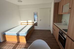 Ansprechendes, individuelles 1-Zimmer-Appartment – Rosensteinstraße 33, 70191 Auf der Prag, Stuttgart – Vorschaubild 4