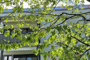 PASING  .  NAHE STADTPARK  .  IDEALER GRUNDRISS  .  ANSPRECHEND AUSGESTATTET