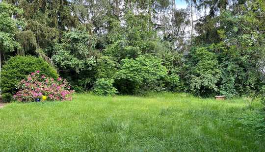 Bild von Einmalige Gelegenheit in Top Lage Wiesbaden-Sonnenberg