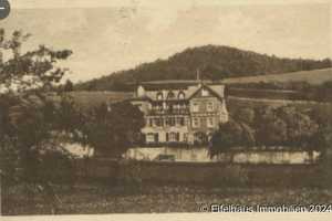 'Villa Carina', Gasthaus, Pension, nahe Nürburgring, 12 Zimmer, Saal, Grundstück 3.500 m² ... – Vulkaneifel (Kreis) – Vorschaubild 27