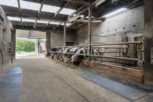 Bauernhof mit Stallungen, Scheunen und über 9.000 m² Grundstück in Heinsberg-Hülhoven – Die vollständige Adresse der Immobilie erhältst du vom Anbieter., 52525 Heinsberg – Vorschaubild 42