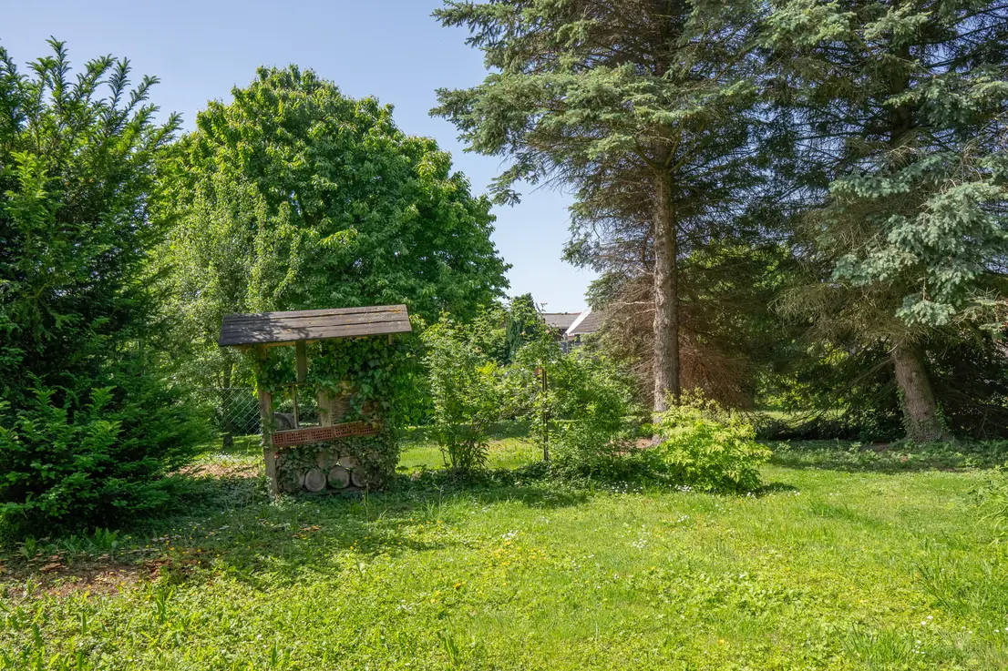 Garten mit altem Baumbestand