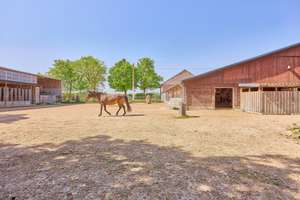 Pferdehof/Ranch für Selbstversorger & Tierliebhaber in Rheinland-Pfalz! – Die vollständige Adresse der Immobilie erhältst du vom Anbieter., 66882 Hütschenhausen – Vorschaubild 19