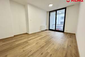 Studenten aufgepasst: Frisch renovierte 3-Zimmer Wohnung mit integrierter Einbauküche! – Die vollständige Adresse der Immobilie erhältst du vom Anbieter., 52070 Adalbertsteinweg, Aachen – Vorschaubild 4