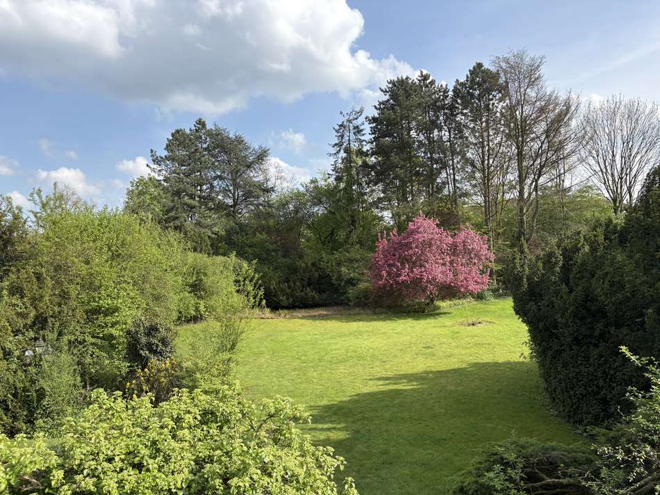 Blick in den Garten