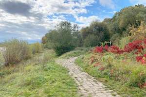 Property thumbnail 12