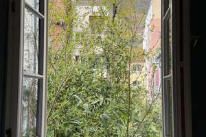 Altstadtoase - charmantes Häuschen mitten im Grünen – Schiffgasse 6, 69117 Altstadt, Heidelberg – Vorschaubild 13