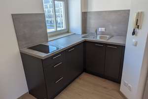 Einzimmerwohnung Regensburg Steinweg – Frankenstraße 6, 93059 Steinweg-Pfaffenstein, Regensburg – Vorschaubild 2