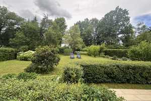 Ein kleines Stückchen Paradies sucht liebevolle Familie – Oberhavel (Kreis) – Vorschaubild 5