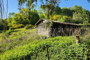 Landliebe pur! Idyllische Alleinlage im Wald. – Die vollständige Adresse der Immobilie erhältst du vom Anbieter., 44797 Stiepel, Bochum – Vorschaubild 5