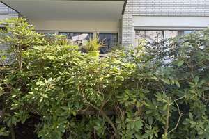 3-Zimmer Wohnung mit Balkon (Hochparterre) im Bismarckviertel, TG-Stellplatz, Klimaanlage - privat   – Die vollständige Adresse der Immobilie erhältst du vom Anbieter., 47799 Cracau, Krefeld – Vorschaubild 58